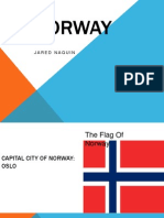 diversity term project on norway