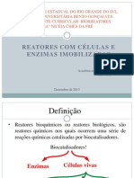 Reatores com cÃ©lulas imobilizadas.pptx