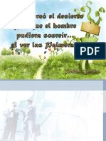 DISEÑO_ORGANIZACIONAL (1).pptx