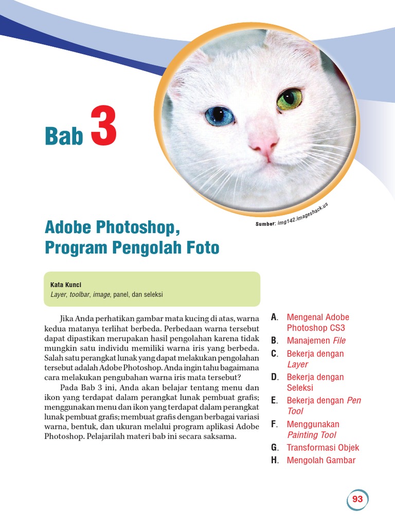 EBook Panduan Belajar Photoshop Cs3