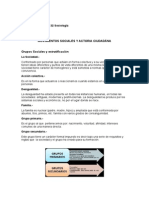 Movimientos sociales y acción ciudadana: grupos sociales y estratificación