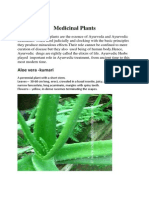 Medicinal Plants: Aloe Vera - Kumari