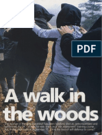 A Walk in The Woods