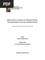 Metas de vida y bienestar.pdf