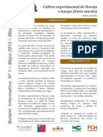 D Arriagada Boletin-N°1_Navaja_mayo-2013.pdf