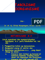 Metabolisme Sel - Unimal