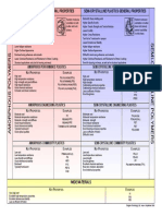 Tangram Polymers a Brief Introduction 2005