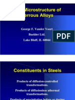 Grain Structures and Phases in Ferrous Alloys