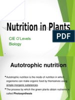 Plant Nutrition