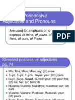 Stressed Possessive Adjectives and Pronouns