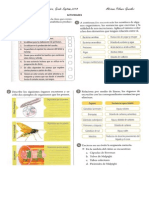 Actividades Excreción 7