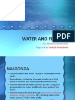 Water and Fluorosis