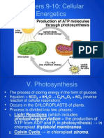 Ap - Cellular Energetics - Photosynthesis