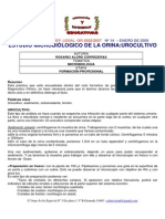ROSARIO_ALORS_2.pdf