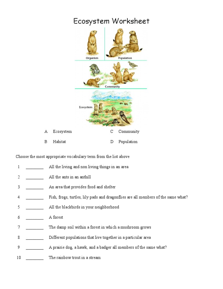 free-printable-ecosystem-worksheets-ecosystems-worksheet-s-ecosystem