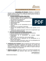 ext-ce-guiaelaboracion.pdf