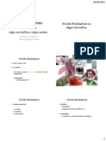 Tema 6 - Algas Vermelhas e Algas Verdes PDF