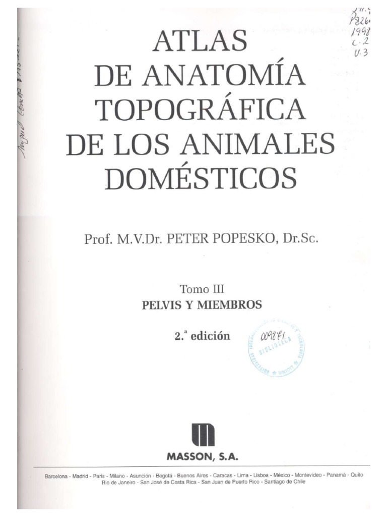 Atlasde Anatomía Veterinaria Tomo 3 Pdf Pdf Estudios De Idiomas