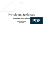 Trabalho de TGD - Princípios do Direito.pdf
