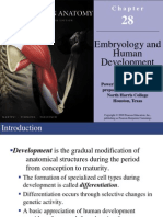 Embryology