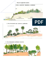 Pisos de vegetación canaria.doc