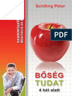 BOSEG Munkafuzet PDF