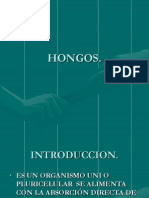 Hongos