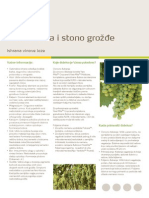 Vinova Loza I Stono Grozdje PDF