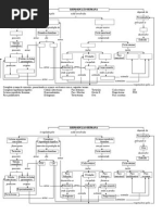 Reproducao humana_mc.doc