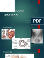 Obstrucción intestinal.pptx