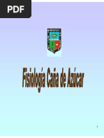 Salomon Helfgött - Fisiologia de Caña de Azucar PDF