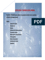 Introducción Célula PDF