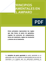 Principios Fundamentales en El Amparo