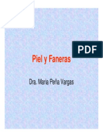 piel-y-faneras-1223428264262880-8.pdf