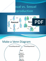Asexual Vs Sexual Reproduction PowerPoint