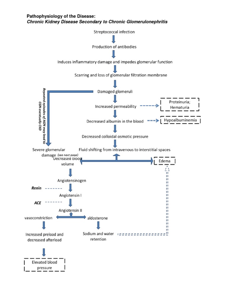 Chronic Kidney Disease Secondary To Chronic Glomerulonephritis | PDF ...