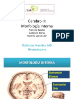 Clase 4. Morfología Interna PDF