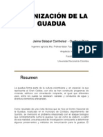 Inmunizacion de Guadua - Contreras & Daz.pdf