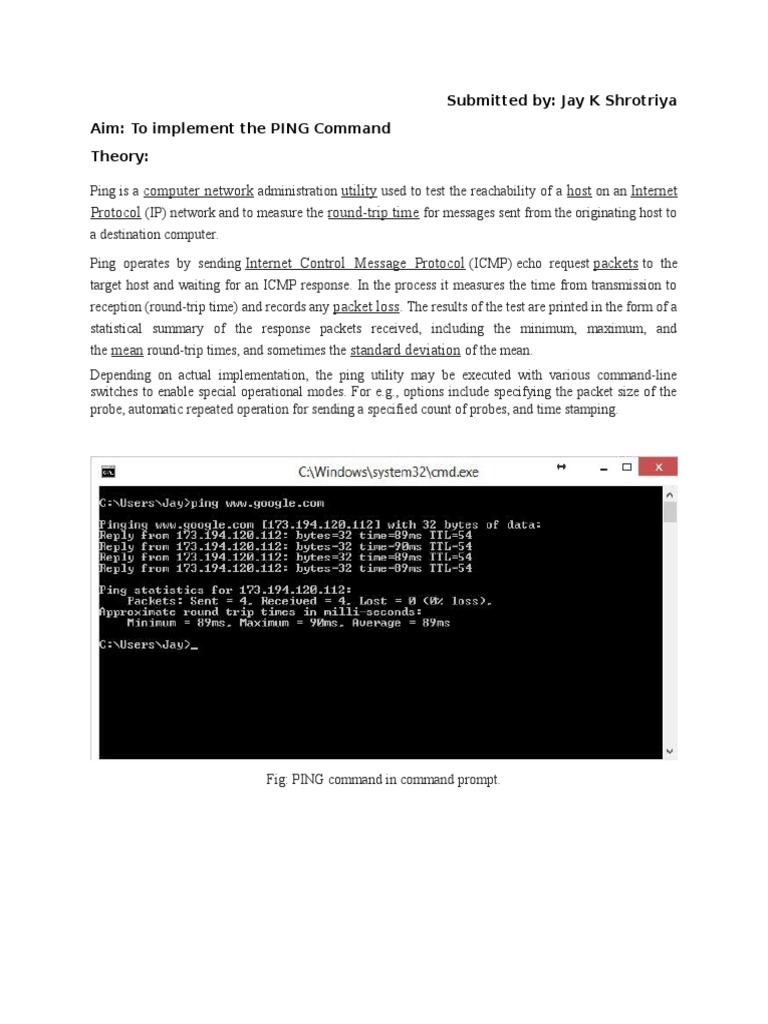 Ping Command | PDF | Business