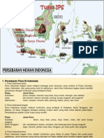 Penyebaran Hewan Di Indonesia