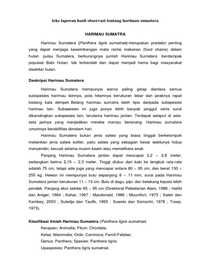 Teks Laporan Hasil Observasi Tentang Harimau Sumatera Docx