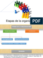 Etapas de La Organización