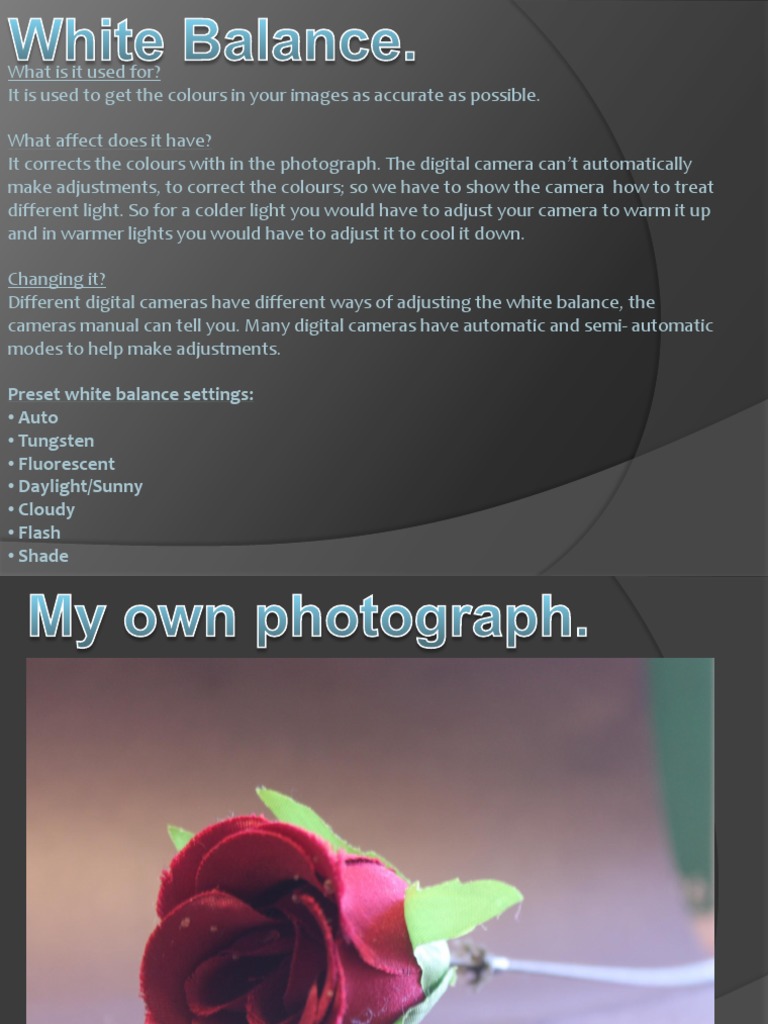 WHITE BALANCE LENS CAP | Use a White Balance Cap For Unnatural Looking  Tints On Your Photos, image size:768x1024