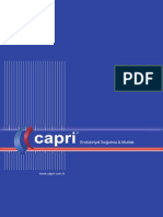 CAPRI E.S.&M. 2011.pdf