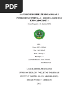 Download LAPORAN PRAKTIKUM KIMIA  kristalisasidocx by Damon Holt SN243799785 doc pdf