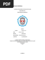 Download LAPORAN IDENTIFIKASI MINERALdocx by AmmoraKylla SN243802249 doc pdf
