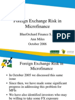 file Foreign Exchange Risk in Microfinance
