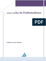 borrachadepolibutadieno-130327145200-phpapp01.pdf