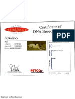 Katie Liepold's Dogs' DNA Tests