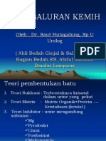 Batu Saluran Kemih